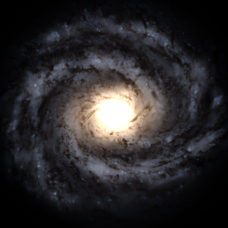 File:Flower from Above.png