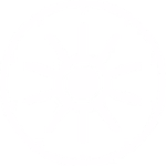 Logo for Local Universe