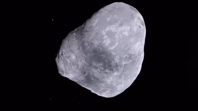 A/3016 H 1 (Sarelle-m16)