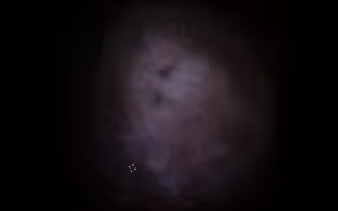 The Calida system's location in the Small Magellanic Cloud.