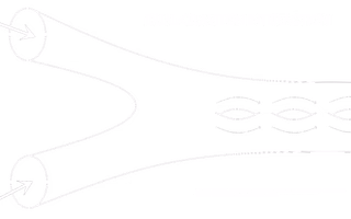 Dual-graviton.png