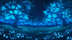 Luminescence of the effulgent bloom