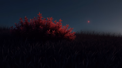 Lonely evening shrub in the grasslands of Twilight
