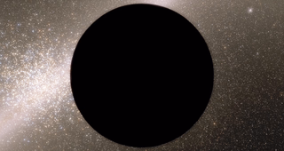 Hocestetiamipsa 2.png