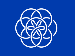 Humanity flag.jpg
