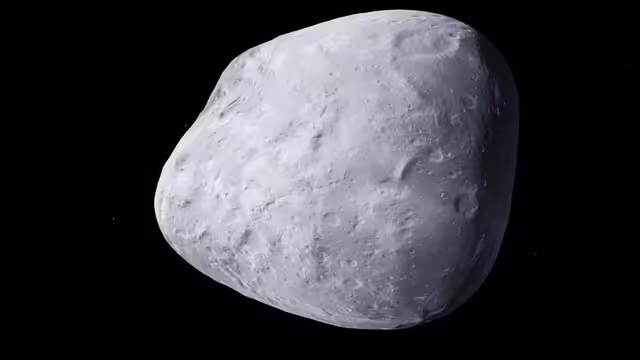 Hunter'n (Sarelle-m5)