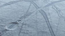 Close-up shot of the surface