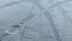 Close-up shot of the surface