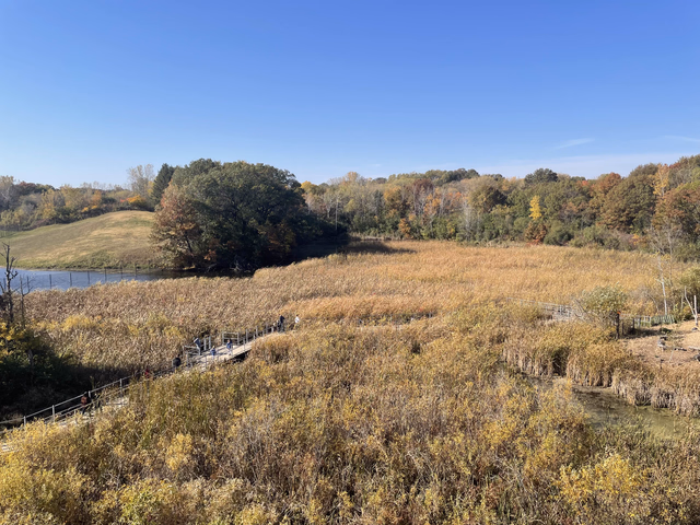 Natural Wetlands that can be seen from the Northern Trail.