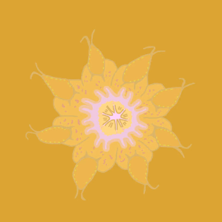 Muctaruptus segmenti 3 cc85.webp