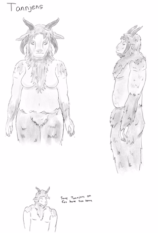 Tannjens.png