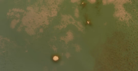 Teucuarva dustfields (the mountains are not counted in the microbiome)